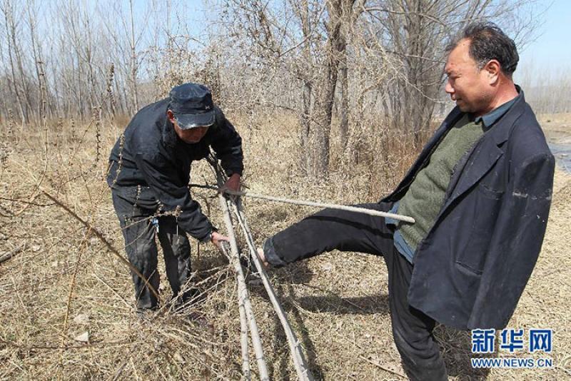 Этот слепец и его безрукий друг за 10 лет посадили больше 10 000 деревьев... Результат впечатляет!