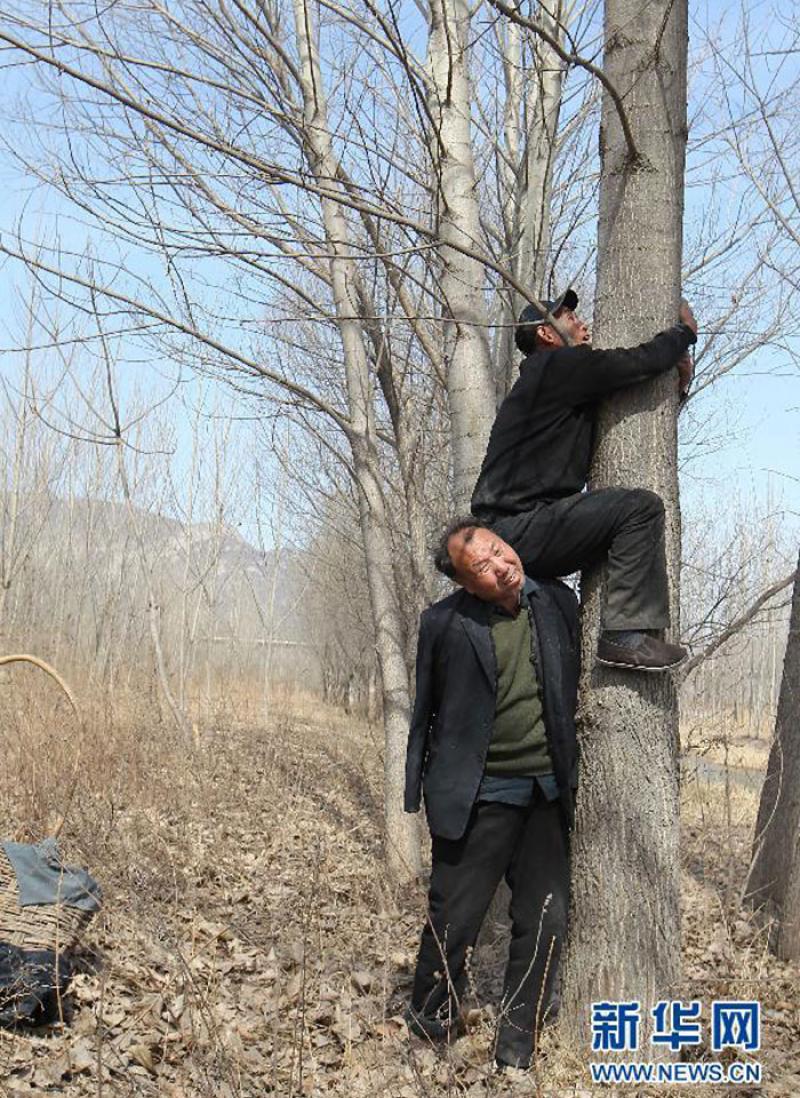 Этот слепец и его безрукий друг за 10 лет посадили больше 10 000 деревьев... Результат впечатляет!