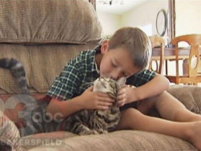 Кошка спасла маленького мальчика от бешеной собаки. 