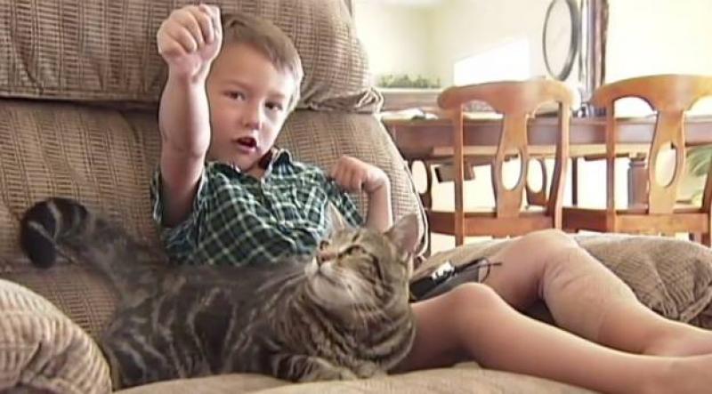 Кошка спасла маленького мальчика от бешеной собаки. 