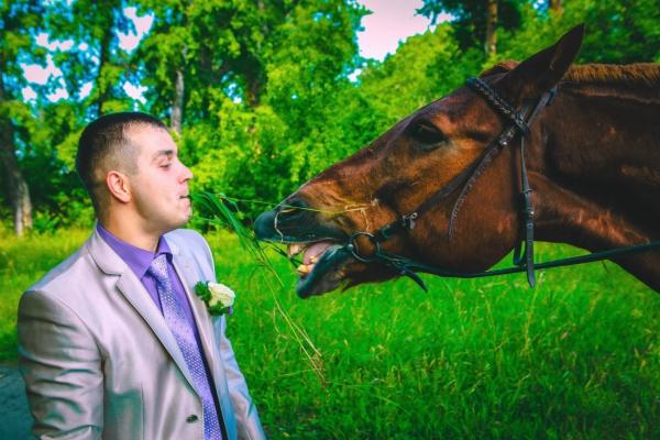 Свадебные фотографы или как не надо снимать свадьбу