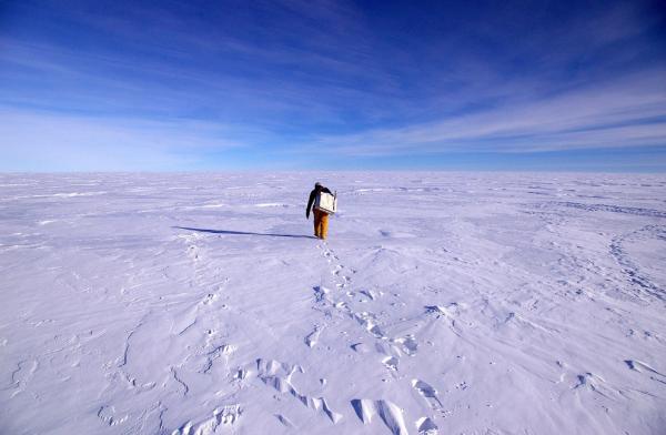 Путешествие в Антарктиду (28 фото)