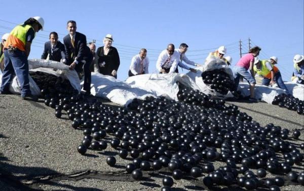 Они выбросили в воду около 100 миллионов пластмассовых шариков... Причина меня обескуражила!