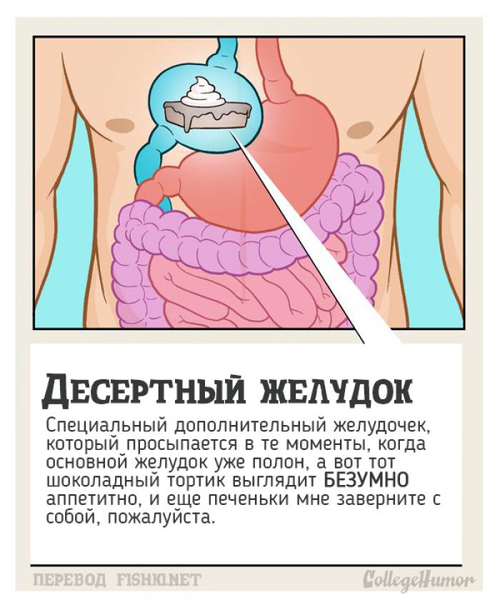 10 тайных органов человеческого тела, о которых вы и не подозревали 10 тайных органов человеческого тела, о которых вы и не подозревали органы, человеческое тело, юмор